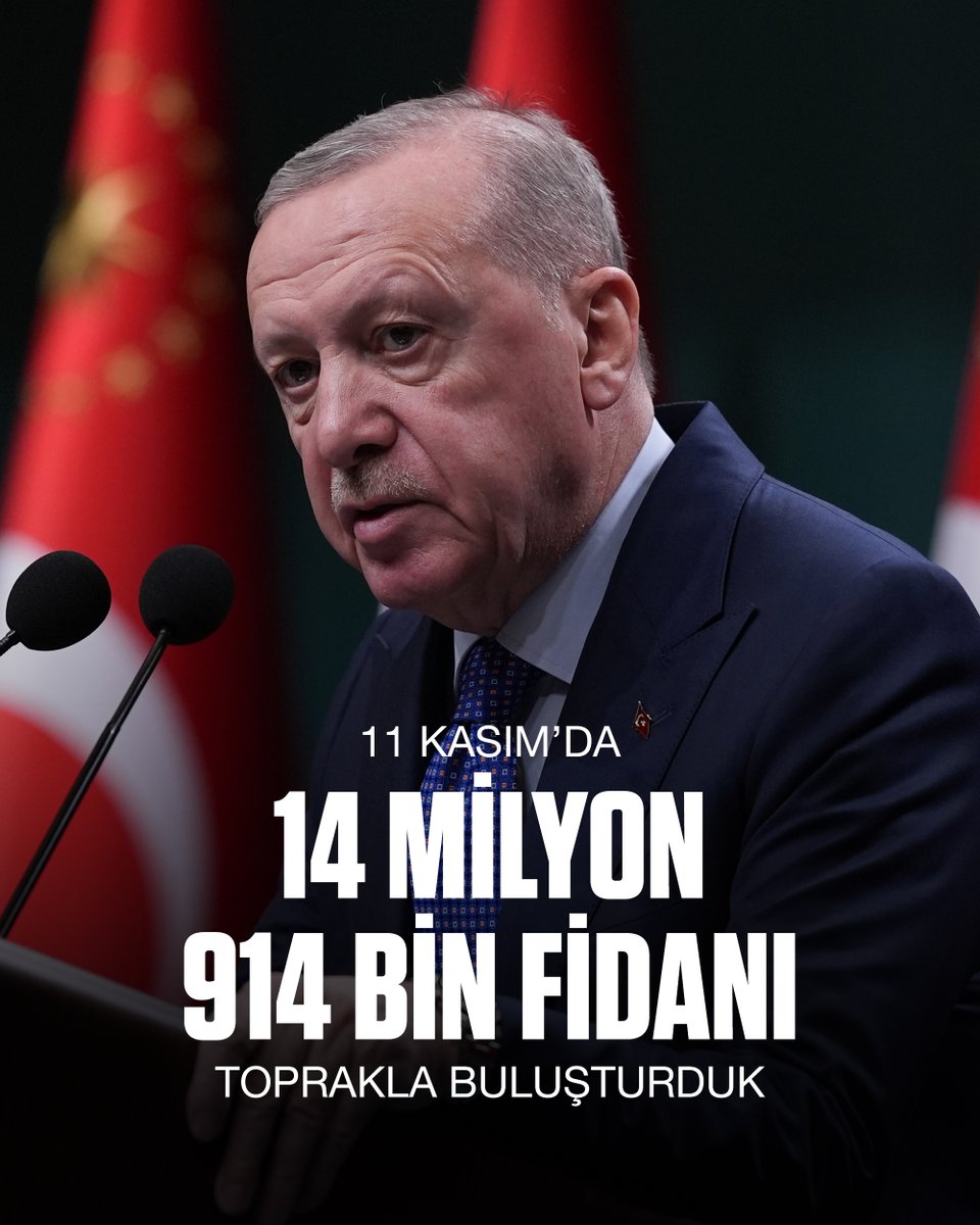 Türkiye, 11 Kasım'da Tarihi Bir Ağaçlandırmaya İmza Attı