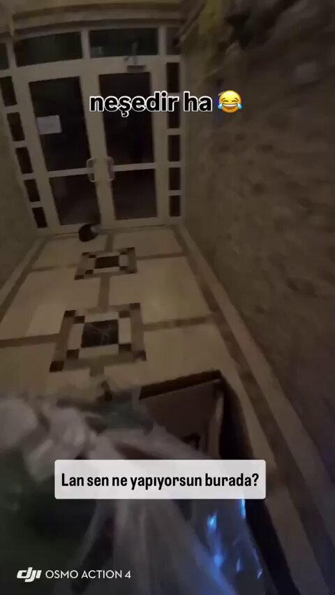 Kuryenin Soğukta Üşüyen Kediye Sessiz İyiliği: "Gel Kanka, Kimseye Deme"