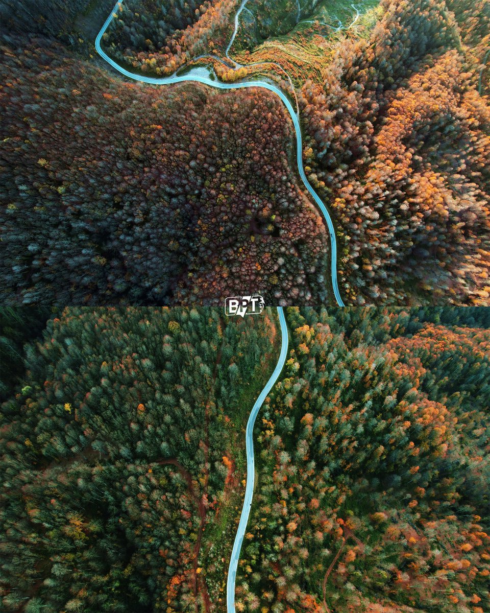 Sakarya'daki Çam Dağı, Sonbaharın Renk Cümbüşüne Büründü