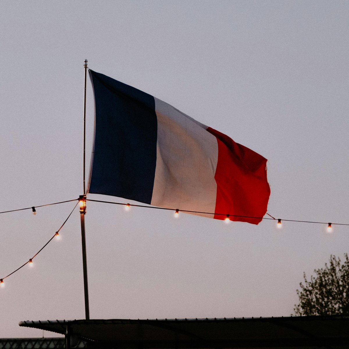 Fransa, Holokost İnkarı Gerekçesiyle X'in Yapay Zekası Grok Hakkında Soruşturma Başlattı