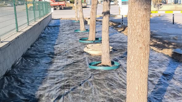 Sandıklı'da Şehir Estetiğini Güçlendiren Çalışmalar Hızla Devam Ediyor