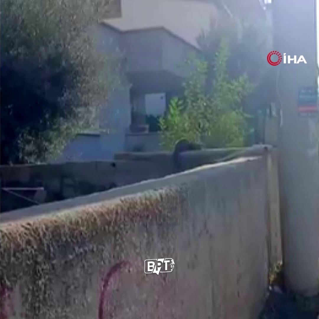 Osmaniye'de Sansar Güneşlenirken Görüntülendi