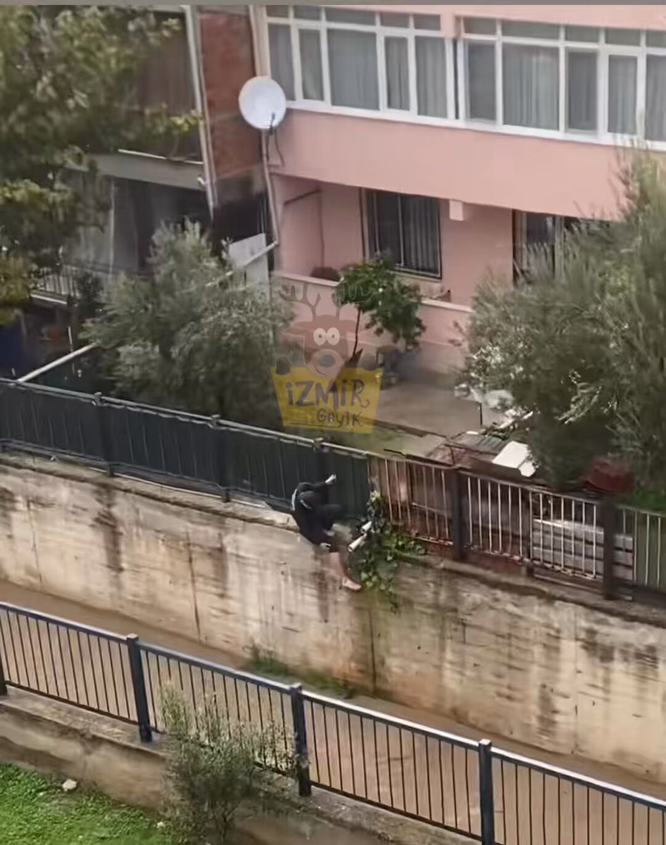 İzmir'de Genç, Kanala Düşen Kediyi Cesur Kurtarma Operasyonuyla Kurtardı