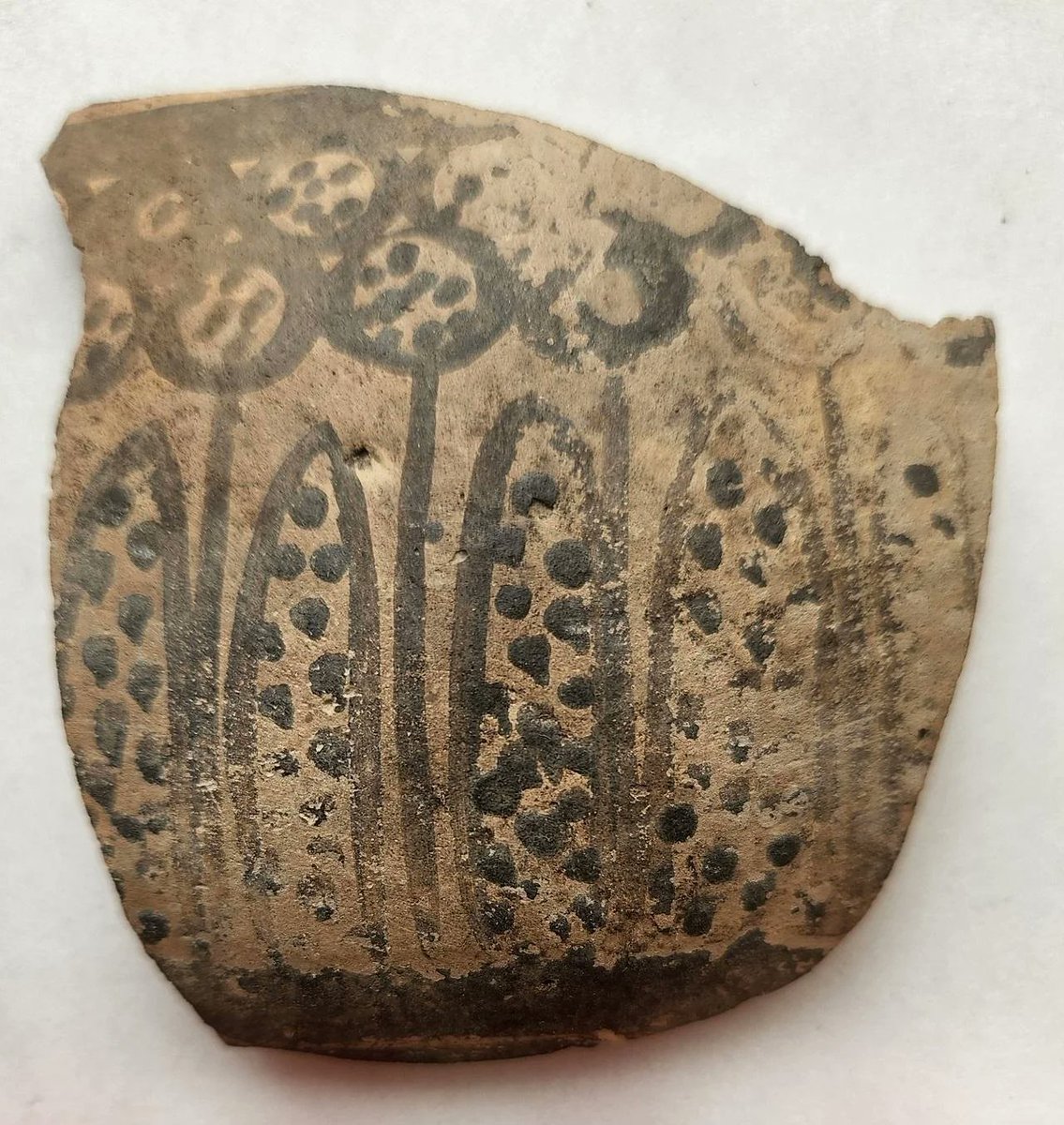 Halaf Çömleklerindeki Çiçek Motifleri İnsanlığın En Eski Matematiksel İşaretleri Olabilir