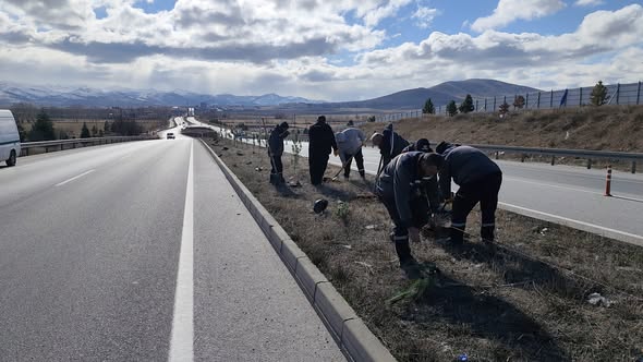 Afyonkarahisar'da Soğuk Bir Pazar Gününde Yüzlerce Fidan Toprakla Buluştu