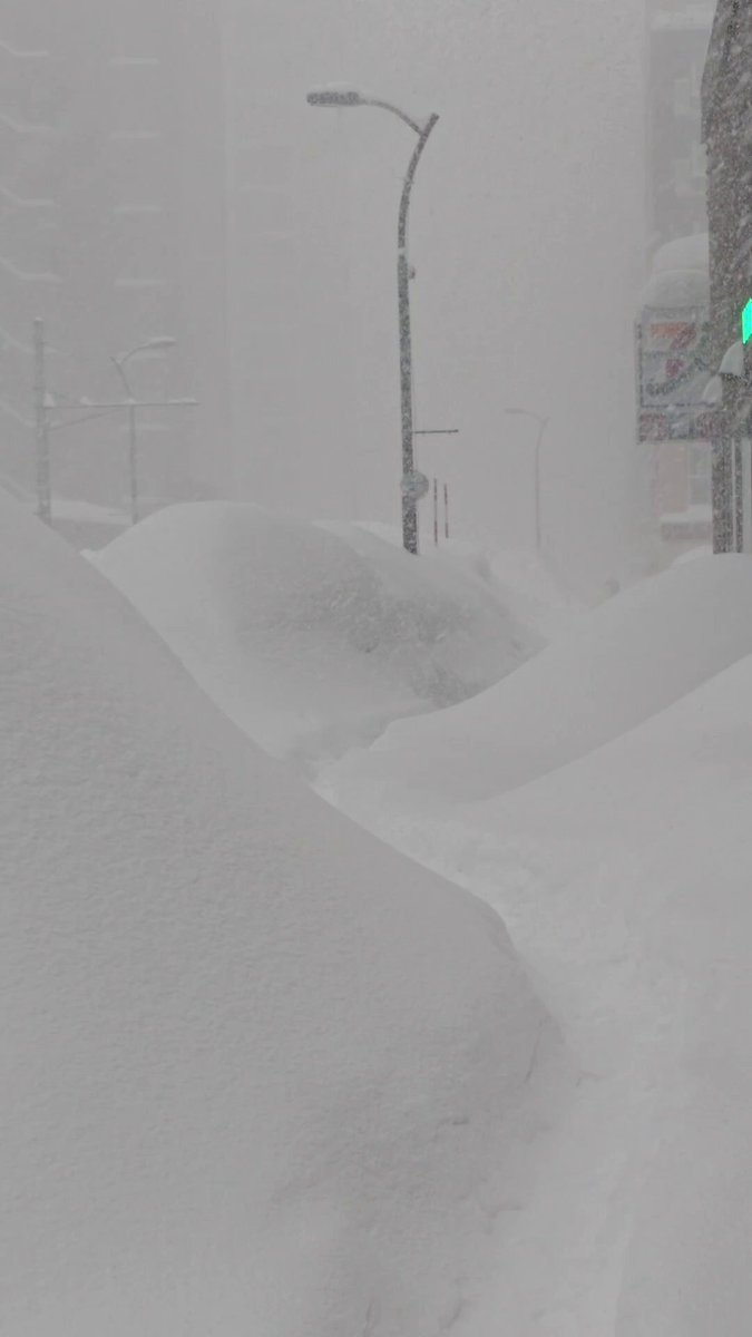 Sapporo'da Kar Yağışı: 24 Saatte 54 Santimetre