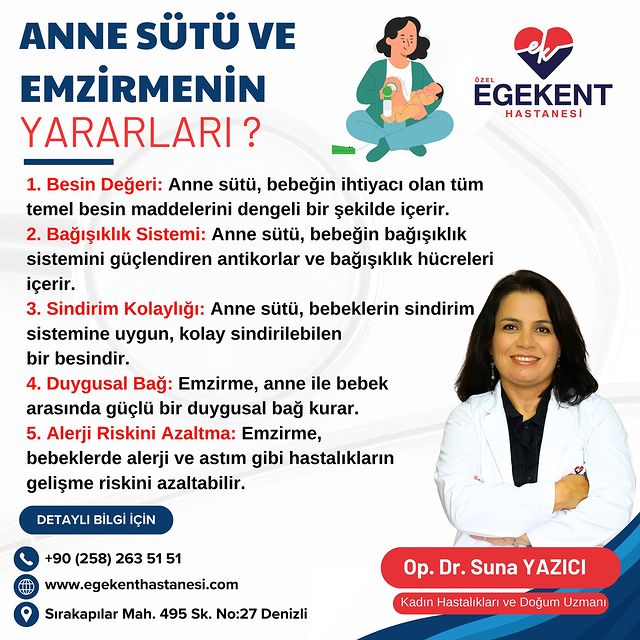 Bebekler İçin En Önemli Besin Kaynağı: Anne Sütü
