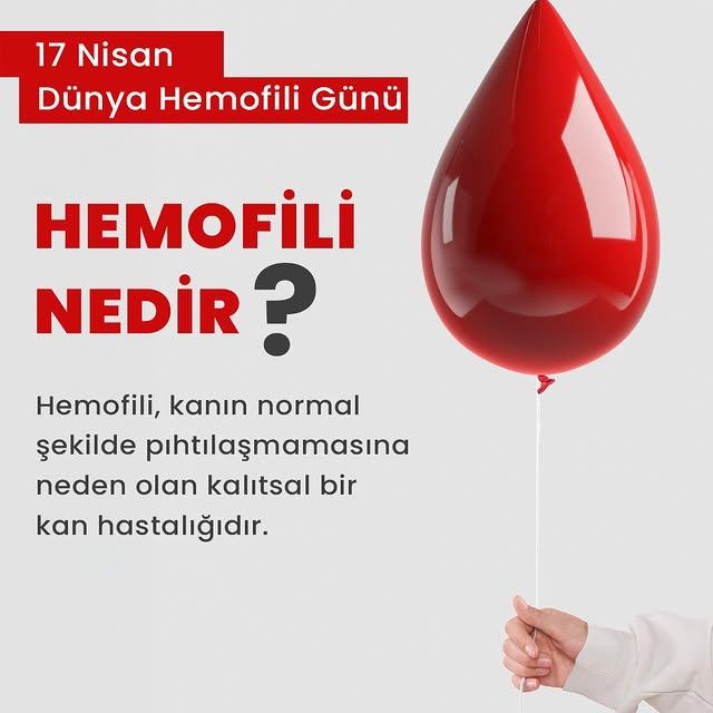 Denizli'nde Hemofili Bilinci Artıyor: Genetik Kan Hastalığı Hakkında Bilgi Kampanyaları