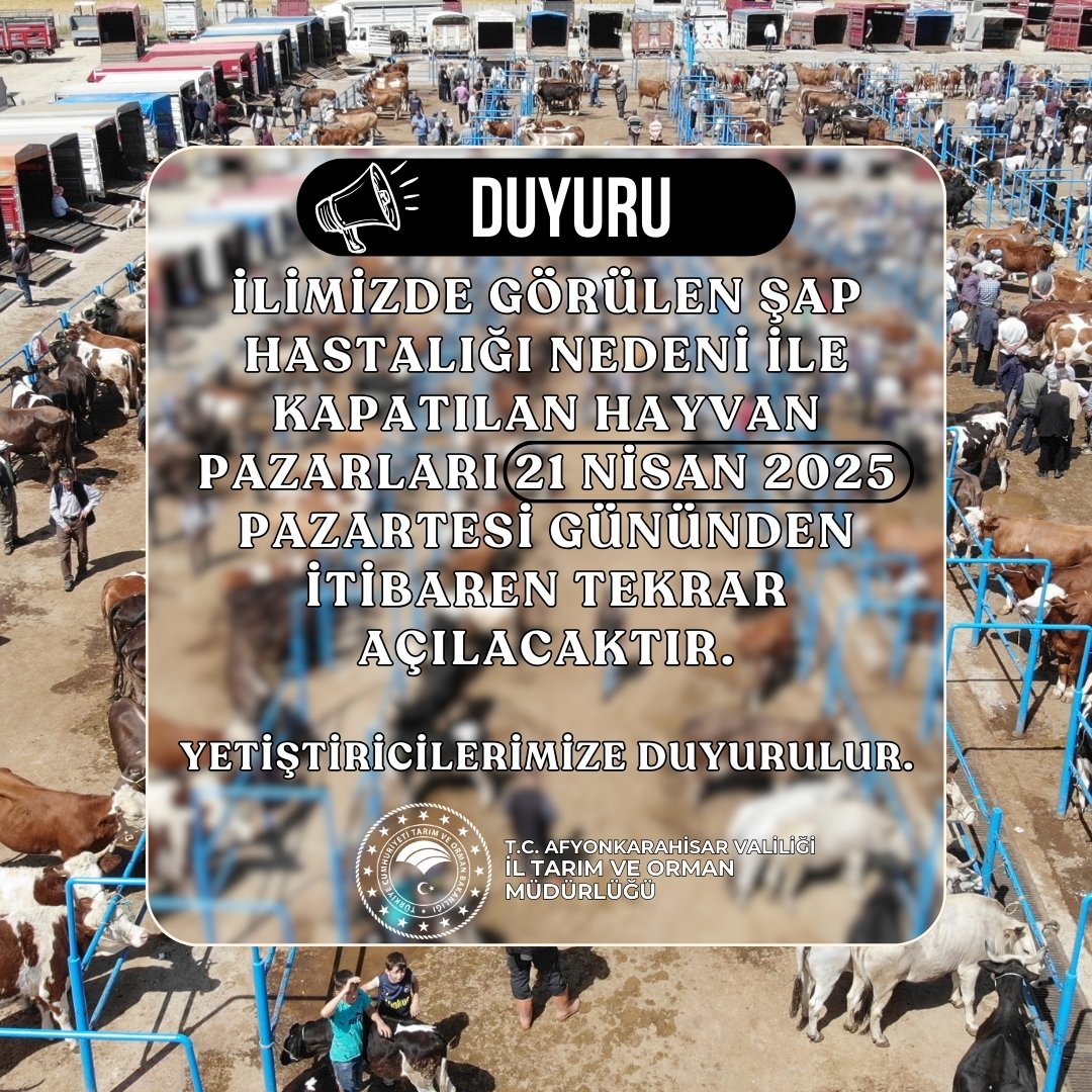 Afyon'daki Şap Hastalığı Sonrası Hayvan Pazarları Yeniden Açılıyor