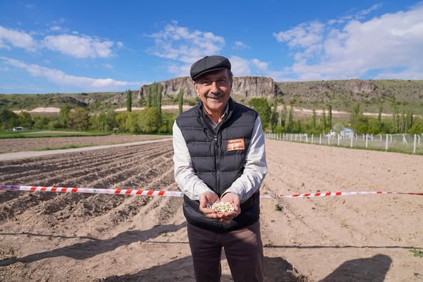 Tepebaşı Belediyesi, Ata Tohumuyla Kızılinler Bal Kabağını Ekim Yaptı