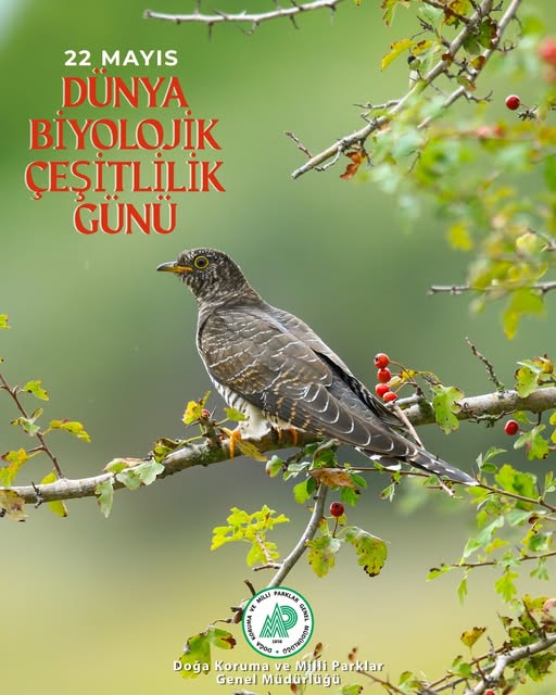 Eskişehir'de Biyolojik Çeşitlilik Vurgusu: 
