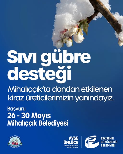 Eskişehir'de Don Etkilenen Kiraz Üreticilerine Destek