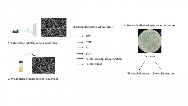 Afyonkarahisar'da Cilt Kanseri Tedavisi İçin Nanoteknolojik Ürün Geliştirildi