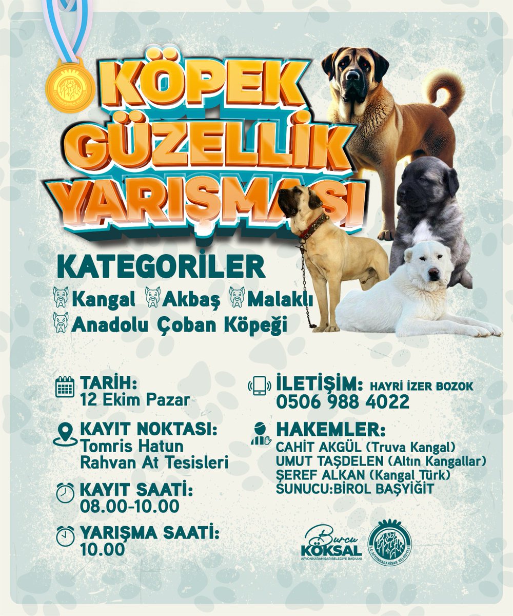 Afyonkarahisar'da Geleneksel Köpek Güzellik Yarışması Düzenleniyor