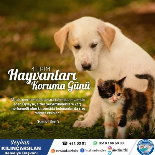 İscehisar Belediyesi'nden 4 Ekim Hayvanları Koruma Günü Mesajı
