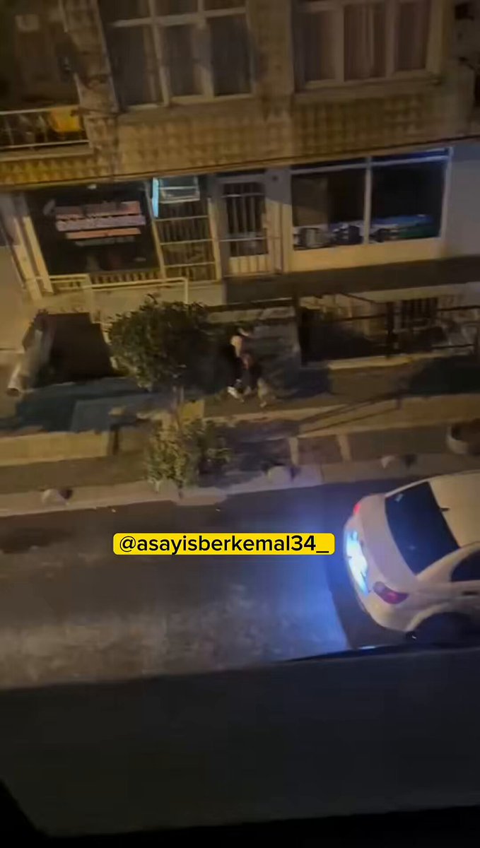 İstanbul'da Pitbull Cinsi Köpek Sahibini Isırdı