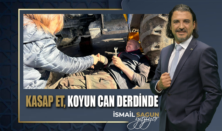 Kasap et derdinde, koyun can derdinde 